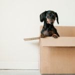 Simplify Your Move With These 5 Tips