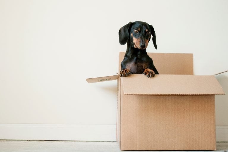 Simplify Your Move With These 5 Tips
