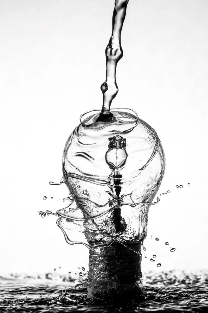 Bulb