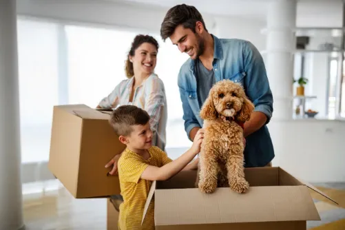 Moving With Your Pet